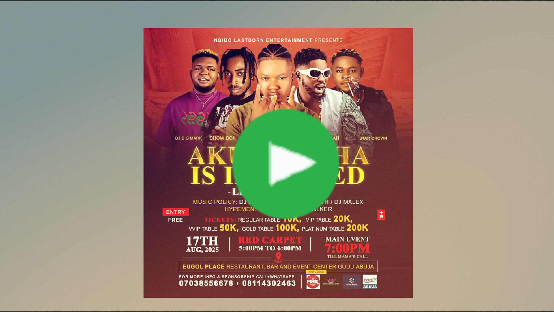 Promotional Video ad for Political campaign